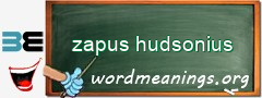 WordMeaning blackboard for zapus hudsonius